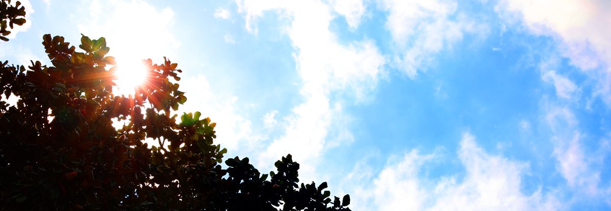 Three Questions to Challenge – and One to Encourage – Your Answer to God’s Call