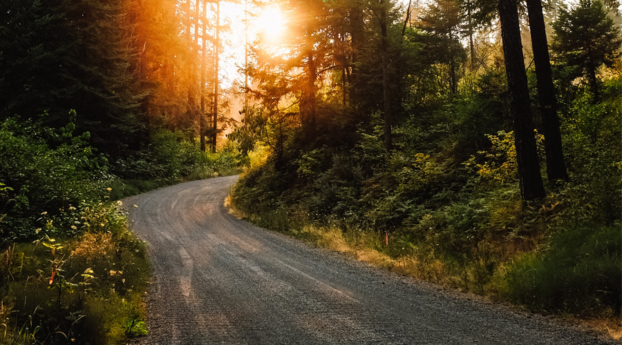 GBHEM’s ‘Our Road Reimagined’ Takes Shape